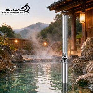 ปั๊มจุ่มใต้น้ำหลายระดับสแตนเลส SubWell 10 แรงม้า ช่องจ่ายน้ำขนาด 2 1/2 นิ้ว แรงดันสูง สำหรับน้ำพุร้อน - Product Image 1