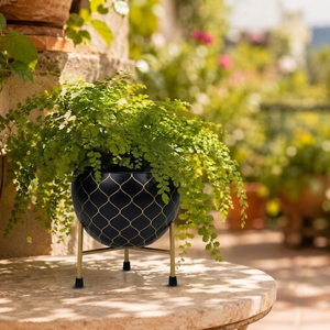 Pot de fleurs en métal noir avec support en métal doré, pot de fleurs décoratif moderne pour plantes d'intérieur, décoration élégante pour le salon - Product Image 2