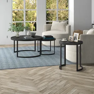 Mesa de Centro Metálica Convertible Ecológica Comercial, Marco Decorativo, Muebles Modernos para Oficina y Salón, Lujosa, Hecha a Mano en Acero Inoxidable - Product Image 6