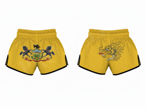 Shorts de Muay Thai confortables et élégants avec broderie personnalisée, shorts de boxe MMA, shorts d'entraînement d'arts martiaux pour hommes - Product Image 6