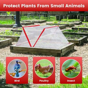 Confezione da 4 Reti Protettive Verdi per Piante da Giardino, 31.50x12.99x13.39 pollici, per Serra e Coperture per Piantine - Product Image 5
