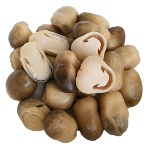Champignons en conserve 2026 en saumure, qualité supérieure, fournisseur vietnamien, vente en gros, qualité alimentaire, exportateur OEM - Product Image 2