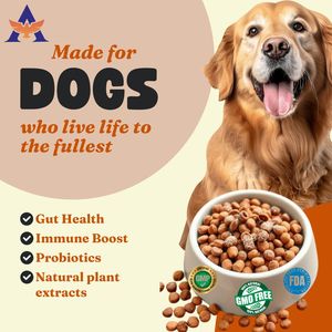 GMP HACCAP Certificado Natural Dog Treat Suplemento Personalizable Etiqueta privada Prebióticos Probióticos para el cuidado de la salud de las mascotas - Product Image 6