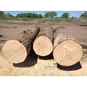 Troncos de Madera Blanda de Calidad de Exportación, Vigas Redondas para Construcción, Material de Madera Resistente, Ideal para Construcción e Industria - Product Image 4