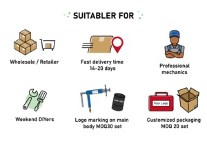 Biểu Tượng Tùy Chỉnh Không Khí Phanh Caliper Piston Gió Trở Lại Công Cụ Sửa Chữa Kit Với 12-Tháng Bảo Hành - Product Image 6