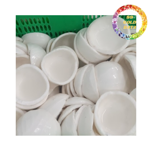 Viande de noix de coco naturelle surgelée IQF, pulpe de noix de coco fraîche, noyau blanc pour l'exportation et la transformation - Product Image 1