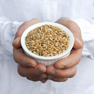 Compre Grano de Trigo Seco GMO, Incluyendo Trigo Duro y Trigo Blando para Molienda, de Alta Calidad y Gran Cantidad en Stock, Envío Rápido a Austria - Product Image 1