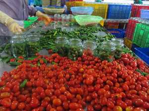 Canned Tomatoes for Export | Good Quality Long Shelf Life | Best Choice For Your Chicken - Product Image 6