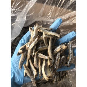 Anchois séchés à haute teneur en protéines Aliments secs pour la consommation humaine et les aliments pour animaux de compagnie - Product Image 1