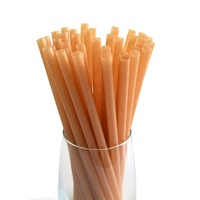 Pailles à boire jetables biodégradables naturelles de canne à sucre paille bio écologique
