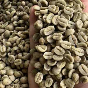 Proveedor de Vietnam: Café Arábica en Grano S16, S18 Sin Tostar, Totalmente Lavado/Proceso de Pulido Húmedo, Café Verde al por Mayor - Product Image 6