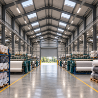 Atelier d'usine textile préfabriqué en acier, portes à enroulement, grande portée pour la tissage de tissus, la production et le stockage de rouleaux textiles