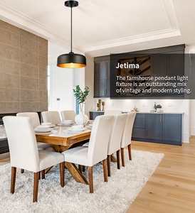 JT-PL-B12 moderne 1 lumière E26/E27 plafonnier Offre Spéciale noir mat or intérieur métal lustre pendentif éclairage élégant - Product Image 5