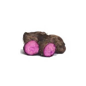 YAM CONGELADO CORTADO EN REBANADA/DADO/CHUNK/MEDIO CORTADO-EMBALAJE DE PUREE DE YAM EN ENVASADO AL VACÍO IQF VERDURAS Y FRUTAS DE VIETNAM - Product Image 6