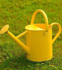 Regadera de metal hecha a mano con diseño tradicional, regadera de hierro para proyectos de jardinería en patios, terrazas y jardines traseros. - Product Image 5