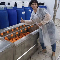 Fabriekspromotie 304 Roestvrijstalen Aardappelgemberwasmachine Prei Was-En Schilmachines