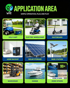 แบตเตอรี่ลิเธียมสำรองพลังงานแสงอาทิตย์แบบไฮบริดและออฟกริด 51.2V 100Ah 32kWh สามารถต่อพ่วงกันได้ 30kW WHE - Product Image 5
