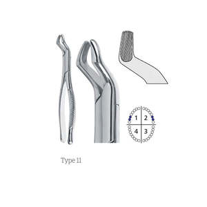Pinces d'extraction dentaire universelles de type 11 en acier inoxydable de qualité supérieure pour une extraction sûre par Dentavex - Product Image 1