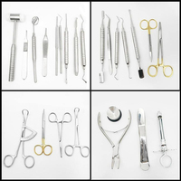 Set Instrumen Bedah Gigi 10Pcs Pegangan Knurled Perak Manual Kelas I Alat Ortodontik Instrumen bedah gigi