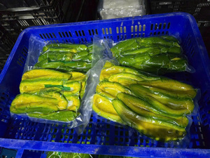 Purée d'avocat surgelée IQF fraîche et saine, qualité supérieure, durée de conservation de 24 mois, emballage sous vide, prix d'usine en gros, Vietnam - Product Image 4