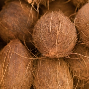 เมล็ดถั่วแดงสดใหม่ คุณภาพส่งออก เกรดหนึ่ง - Product Image 1