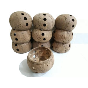 กระถางเปลือกมะพร้าวคุณภาพสูง ใช้สำหรับตกแต่งบ้านหรือตกแต่งสวน - Product Image 2