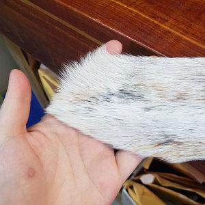 พรมหนังวัวแท้ ขนวัวธรรมชาติ สำหรับตกแต่งห้องนั่งเล่น ห้องนอน และบ้าน - Product Image 4