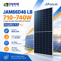 Panneau solaire bifacial double vitrage JA Solar JAM66D46 LB 715-740W de type N, module photovoltaïque haute efficacité pour projets solaires utilitaires