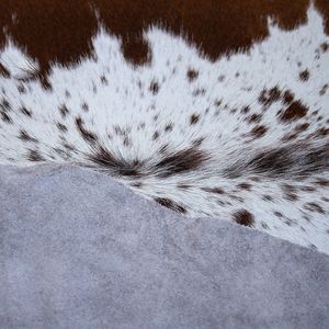 Alfombra de cuero de vaca premium con pelo, alfombra de piel de vaca auténtica para sala de estar, dormitorio, decoración rústica del hogar - Product Image 6