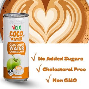 Puré de Agua de Coco Sin Azúcar para Café Latte, 320 ml, Venta al Por Mayor, Marca Privada, Fabricante de Vietnam - Product Image 2