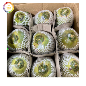 มะพร้าวสดใหม่ลูกมะพร้าวซื้อจำนวนมากสำหรับใช้เครื่องดื่มบริการอาหารและธุรกิจค้าปลีก - Product Image 1
