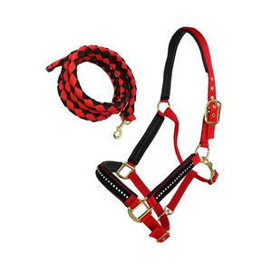 Black Woven Horse Halter With Adjustable Straps And Metal Buckles For Equestrian Riding - Product Image 6