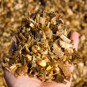 Alimentation Premium Kim Minh International en ensilage de maïs fermenté à partir de plantes entières pour bovins et bétail, 10 % d'humidité max, durée de conservation de 12 mois - Product Image 1