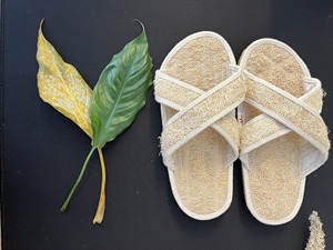 Nuevo diseño 2025 Loofah Flip-Flop hecho a mano Loofah Sole Cómodo interior Loofah Flip-Flop para habitación de hotel Pensión Vietnam Made - Product Image 2