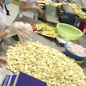 ทุเรียนอบแห้งแบบแช่เยือกแข็งจากเวียดนาม ผลิตจากชิ้นผลไม้เนื้อแน่นเพื่อการรับประทานที่มีรสชาติอร่อย และการสร้างสรรค์เบเกอรี่หรือขนมหวานที่เป็นนวัตกรรมใหม่ - Product Image 6