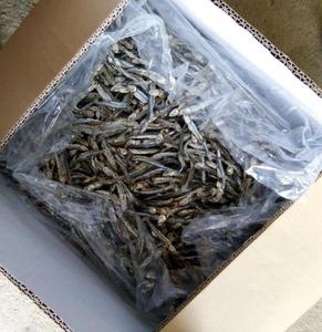 Anchois séchés premium du Vietnam, fruits de mer séchés naturels pour la cuisine, la préparation de soupes, l'assaisonnement et la fabrication alimentaire, vente en gros - Product Image 3