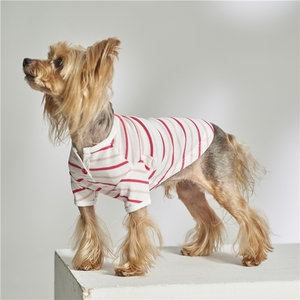 ODM OEM Taiwan Made Chihuahua Chien chemise rose vêtements en coton biologique - Product Image 1