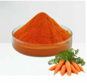 Poudre de carotte très demandée pour l'arôme des snacks et des smoothies, provenant d'un fabricant indien au meilleur prix - Product Image 1