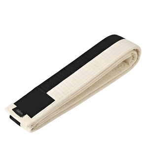 Cinturones de Karate de Color Sólido para Artes Marciales, Entrenamiento y Práctica, Cinturón de Karate de Alta Calidad Personalizable - Product Image 1