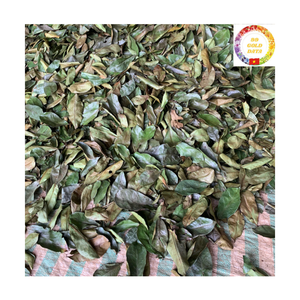 ชาสมุนไพรต้านอนุมูลอิสระ |   ใบกระเจี๊ยบเขียวแห้งพรีเมียมขายส่งจำนวนมาก - Product Image 4