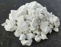 Dolomite brûlée Nam Thang, taille personnalisée, pour le traitement des eaux usées, matière première de type calcaire, chaux vive