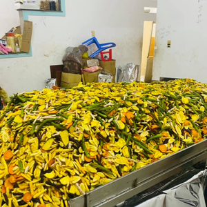 Mezcla de Verduras y Jaca Secas Crujientes de Vietnam en Bolsa al Vacío de 7 kg para Mejorar la Experiencia de Cine en Casa 99 Gold Data - Product Image 2