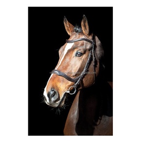 Rub International Indian Supplier Bride anglaise confortable Smart Design Sangle de logo personnalisable pour le cuir de dressage de course - Product Image 3