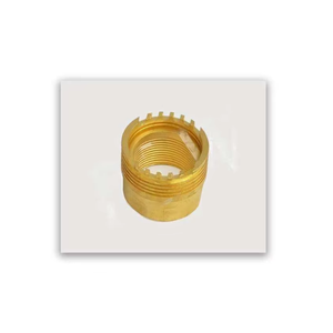 Inserts en laiton PPR polis, forgés, durables, de qualité supérieure, pièces industrielles pour systèmes de tuyauterie avec options de taille personnalisées - Product Image 2