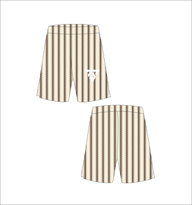 Shorts de Baño a Rayas para Hombre, Cintura Elástica, Diseño Casual con Logotipo Estampado en la Parte Delantera - Product Image 1