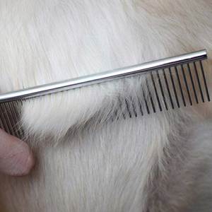 Peigne à dents larges pour poils épais et bouclés, outil de toilettage professionnel pour animaux de compagnie, pour les soins quotidiens des animaux. - Product Image 3