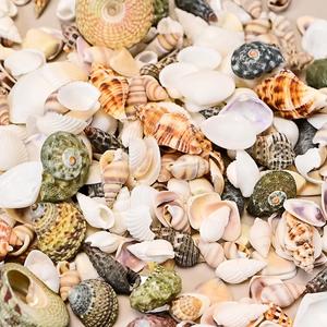 Molde de Silicona de Resina para Manualidades, Accesorios Creativos Hechos a Mano con Conchas y Caracolas Naturales, Material para Micropaisajes y Campanas de Viento - Product Image 4