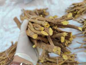 ชะเอมเทศคุณภาพสูง สมุนไพรจีน รากชะเอมเทศ Glycyrrhiza Glabra - Product Image 1