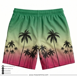 Mawra New Mesh Shorts HIgh Quality Custom Sublimated Logo Summer <b>Outdoor</b> Gym Training Mesh Shorts For Unisex - Product Image 4