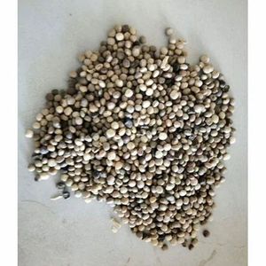 Sorghum für Gewerbekunden, Exportlieferung, Distributorenversorgung - Product Image 6
